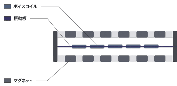 一般的なダイナミック型ドライバー(断面図):イメージ